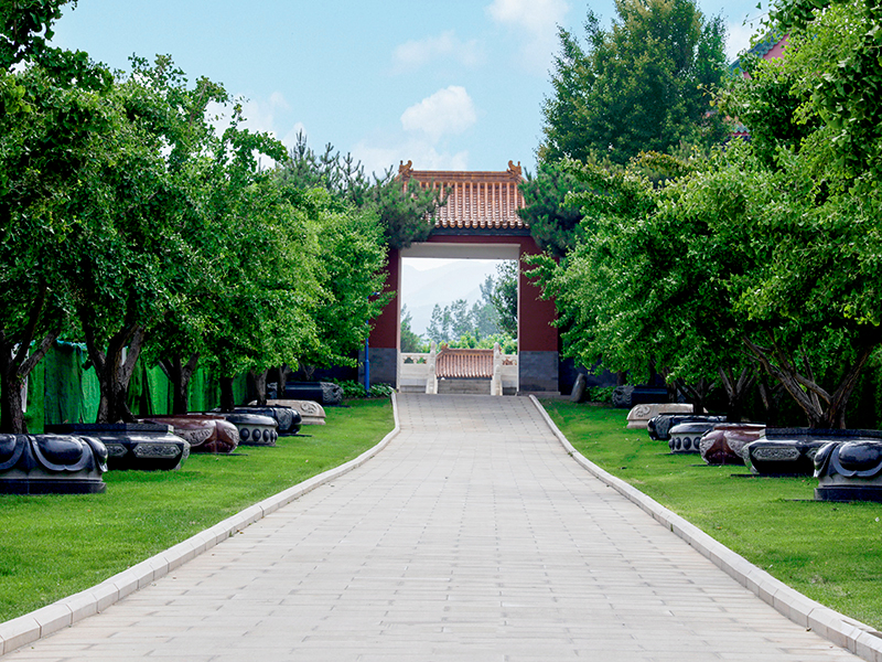 万佛华侨陵园电话号码是多少（万佛华侨价格如何）