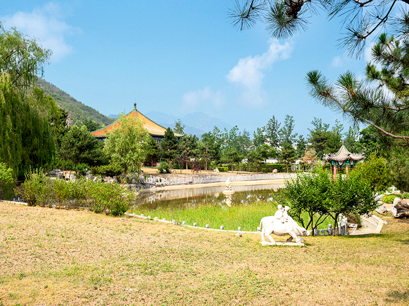 北京万佛华侨陵园价格怎么样(现在涨到多少钱了)